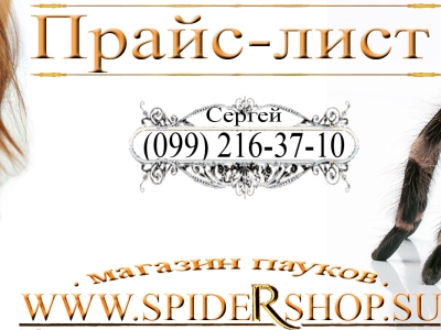 Продажа пауков птицеедов, скорпионы, самки, самцы обновлен 23.07.2016