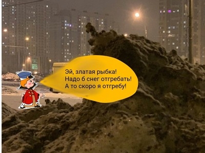 Питерский сугроб стал звездой соцсетей